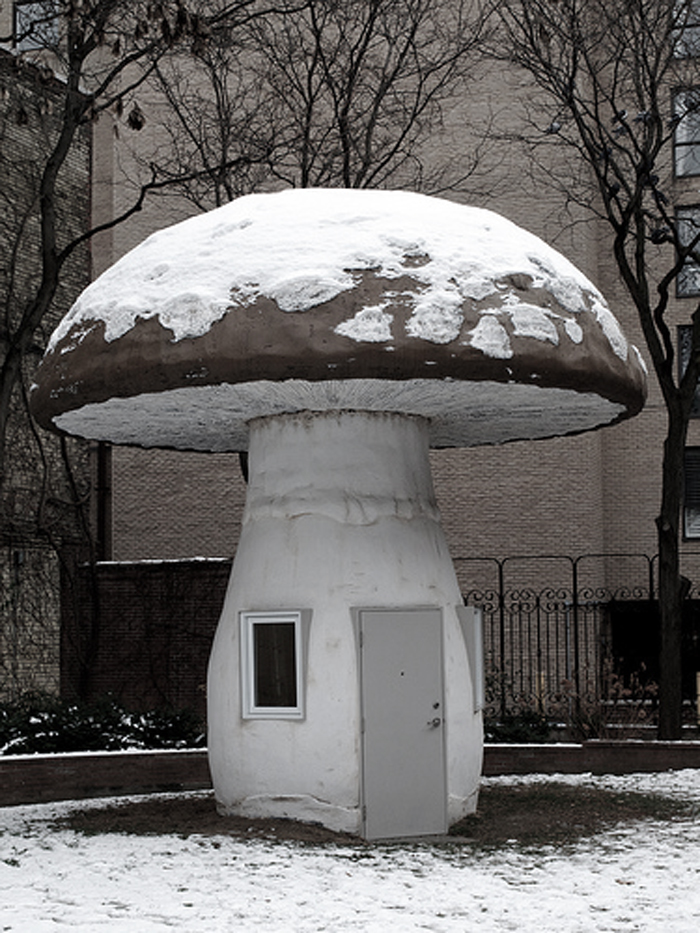 Mushroom-shed